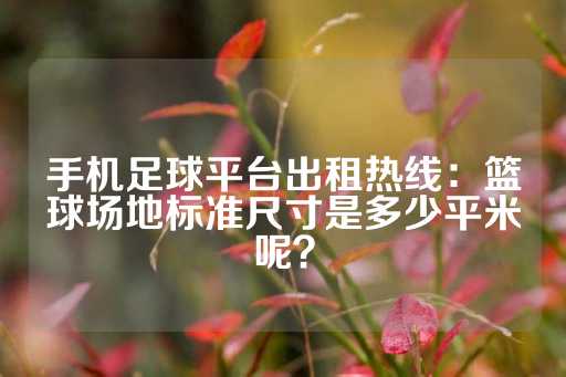 手机足球平台出租热线：篮球场地标准尺寸是多少平米呢？