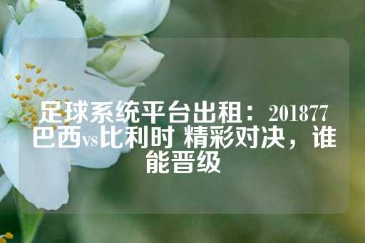 足球系统平台出租：201877巴西vs比利时 精彩对决，谁能晋级