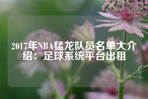 2017年NBA猛龙队员名单大介绍：足球系统平台出租