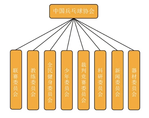 中国乒乓球协会的性质及其作用简介-第3张图片-www.211178.com_果博福布斯